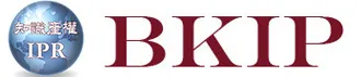 BKIP Logo